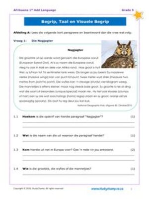 cover image of Grade 5 Afrikaans: Begrip en Taal en Visuele Begrip